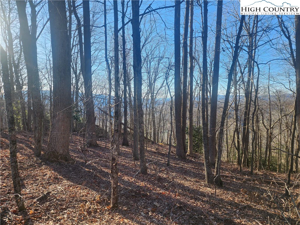 Image number 19 for the current listing