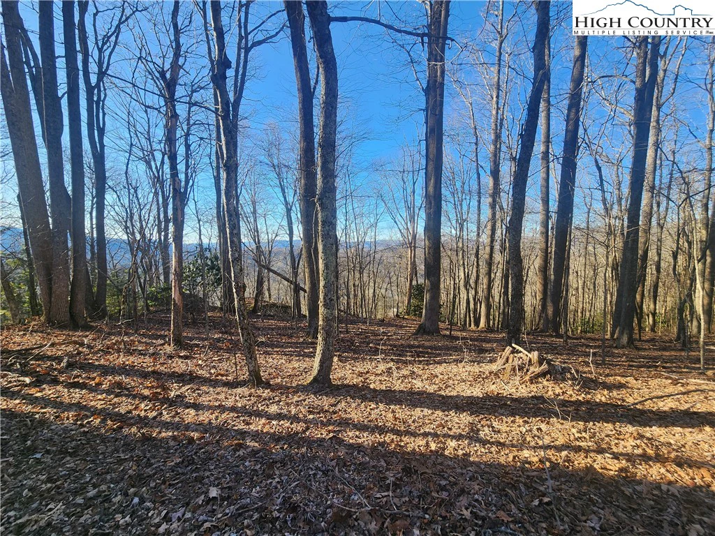 Image number 6 for the current listing