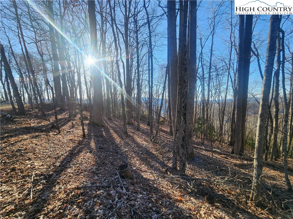 Image number 20 for the current listing
