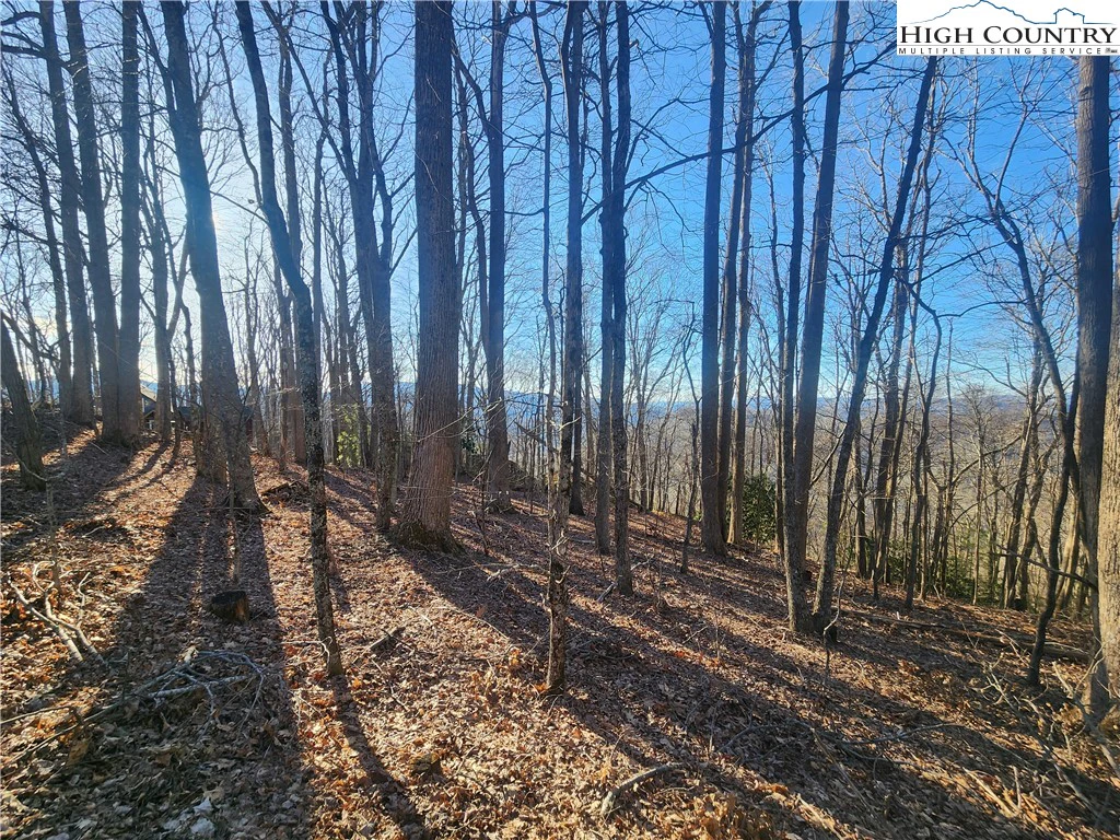Image number 8 for the current listing
