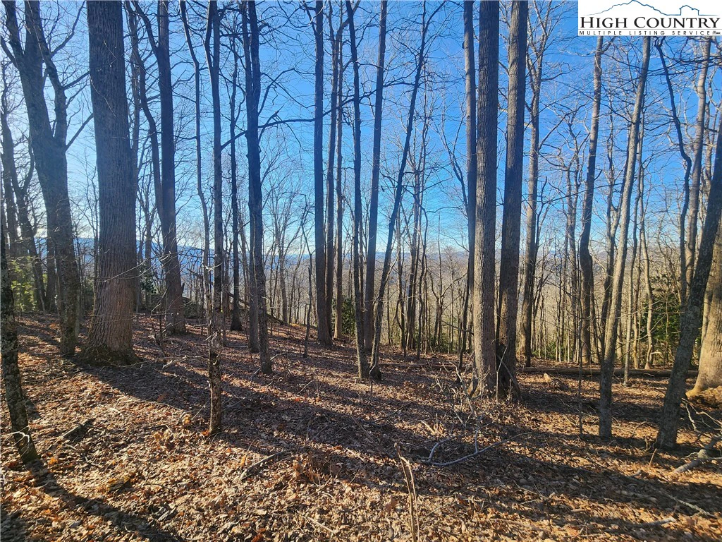 Image number 14 for the current listing