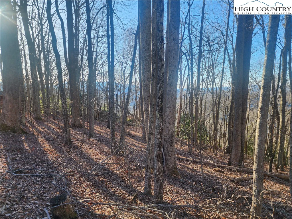 Image number 17 for the current listing