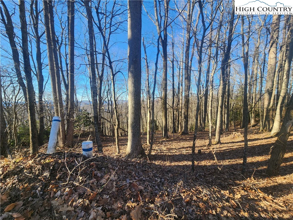 Image number 18 for the current listing