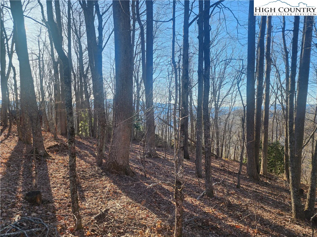 Image number 13 for the current listing