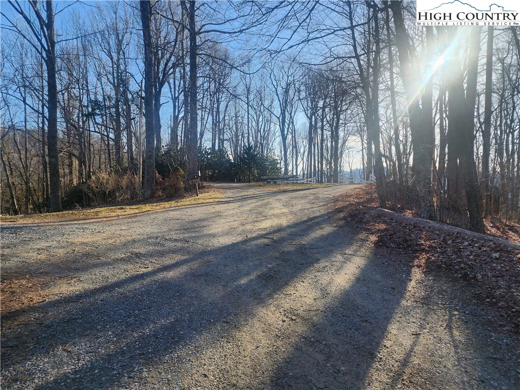 Image number 5 for the current listing