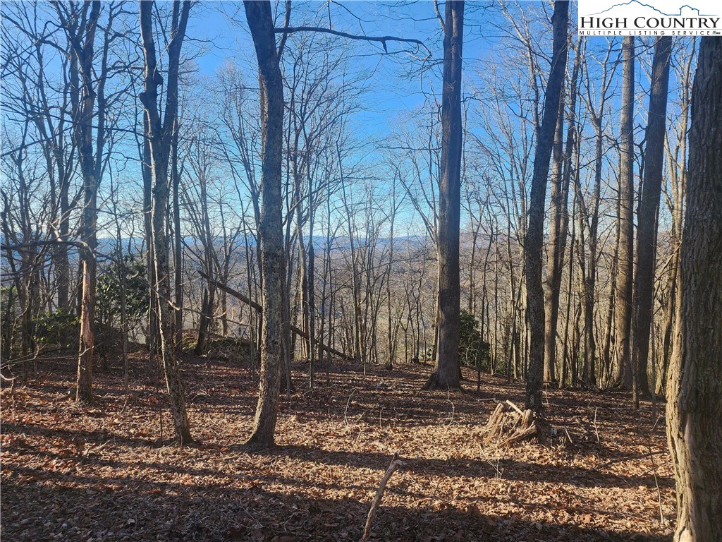 Image number 15 for the current listing
