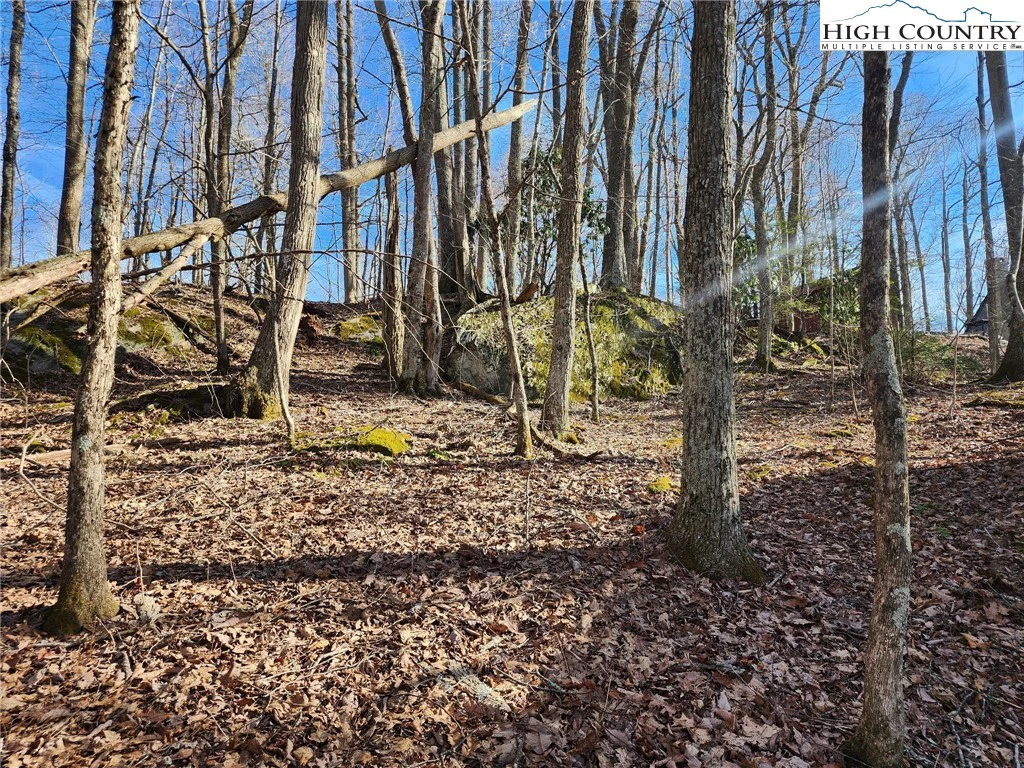Image number 4 for the current listing