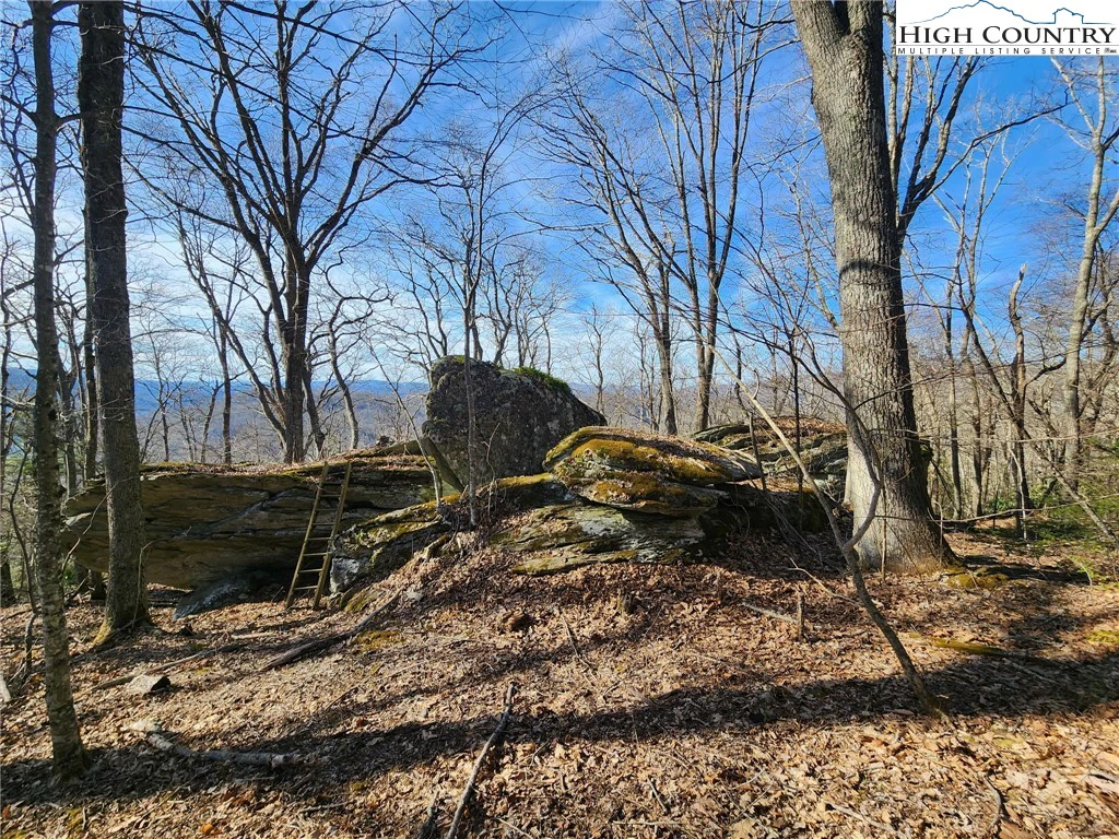 Image number 7 for the current listing