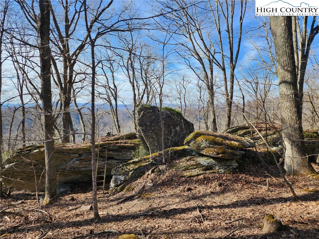 Image number 2 for the current listing