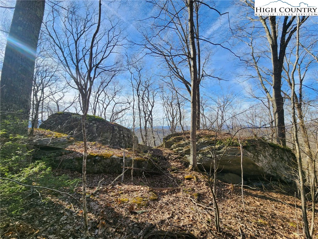 Image number 3 for the current listing