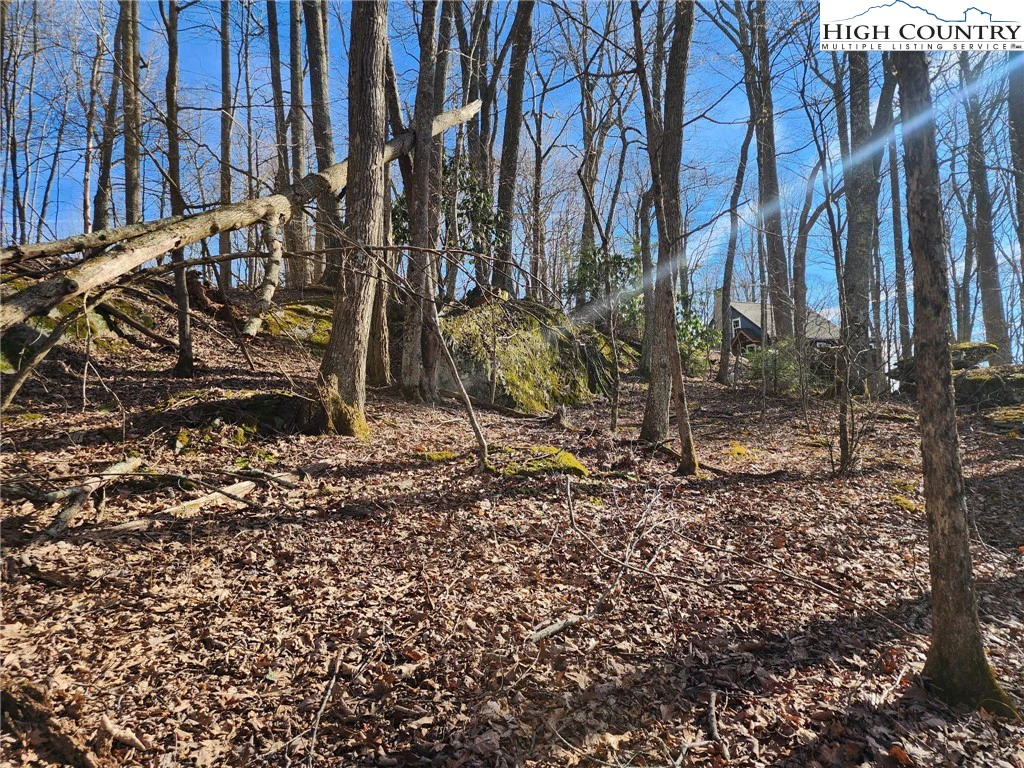 Image number 9 for the current listing