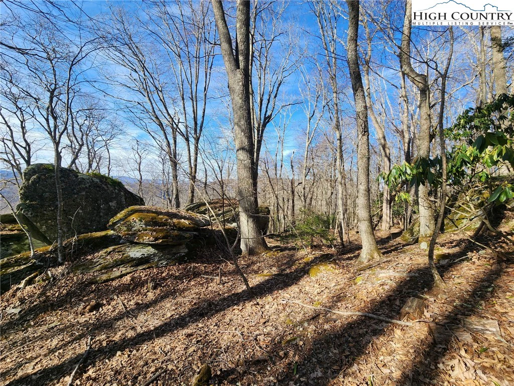 Image number 10 for the current listing