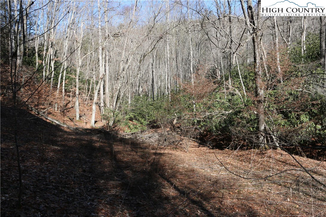 Image number 7 for the current listing