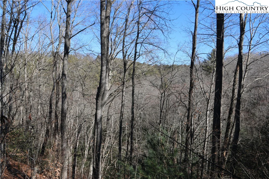 Image number 3 for the current listing