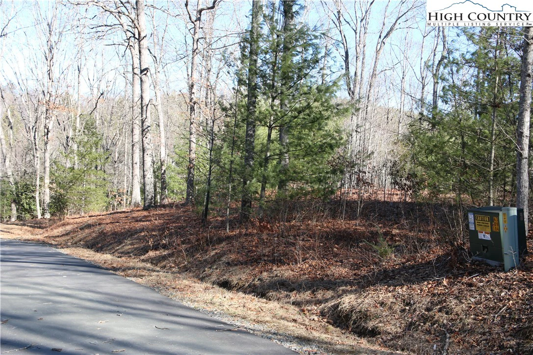 Image number 1 for the current listing