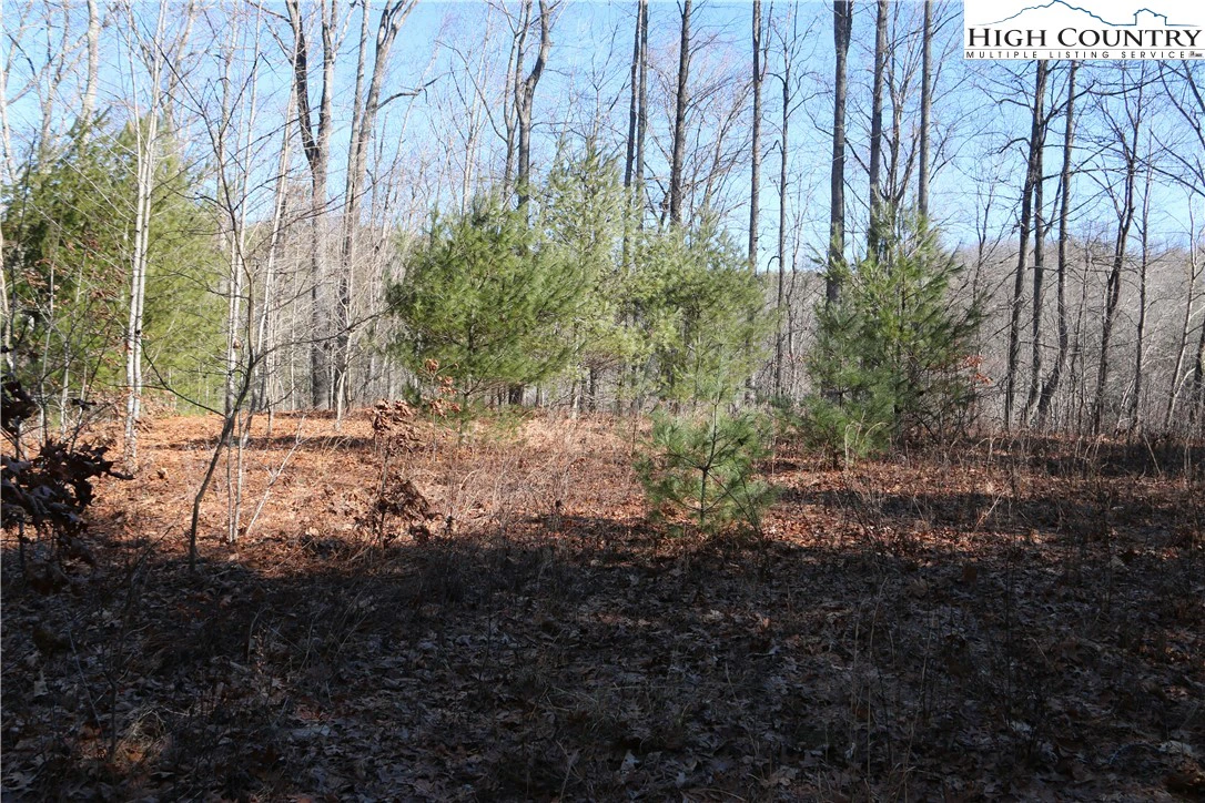 Image number 21 for the current listing