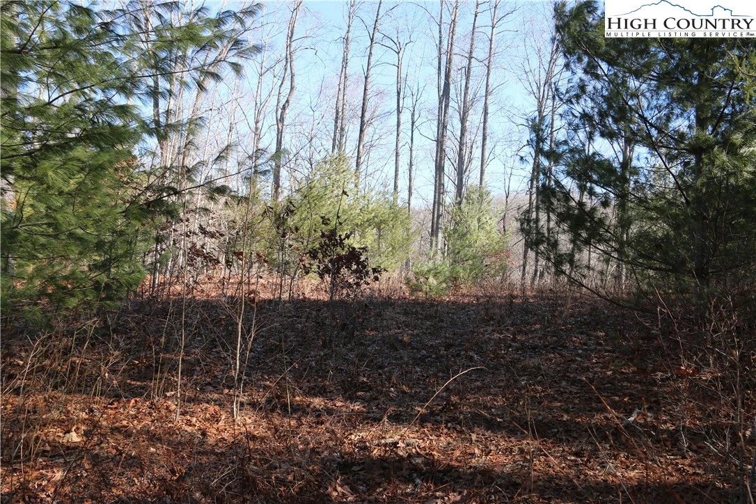 Image number 16 for the current listing