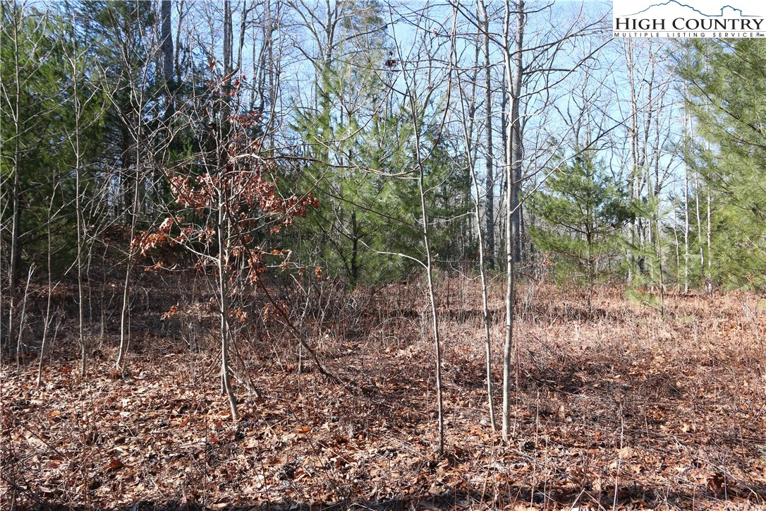 Image number 15 for the current listing