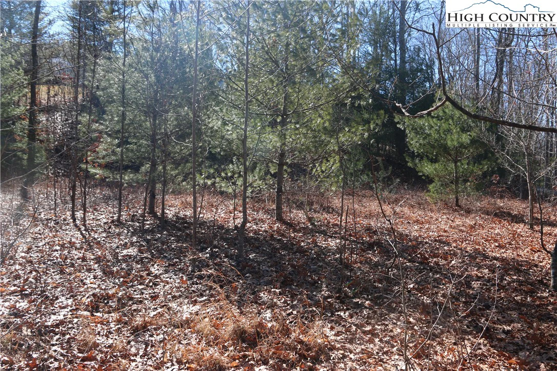 Image number 14 for the current listing