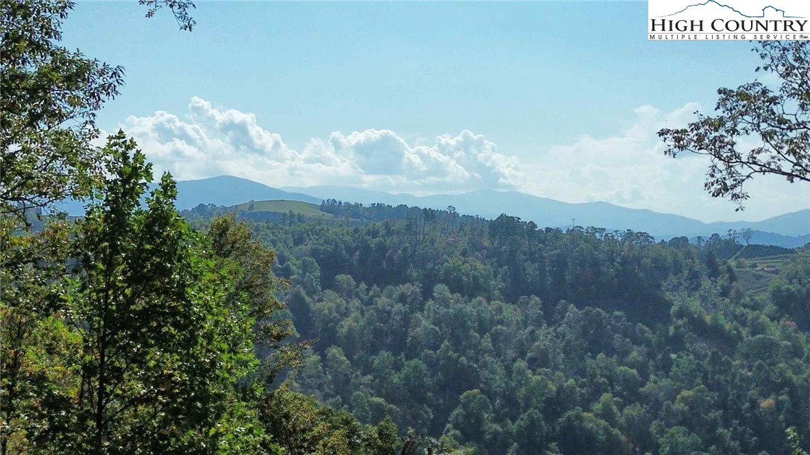 Image number 1 for the current listing
