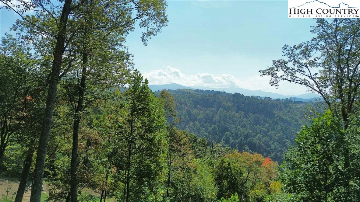 Image number 4 for the current listing