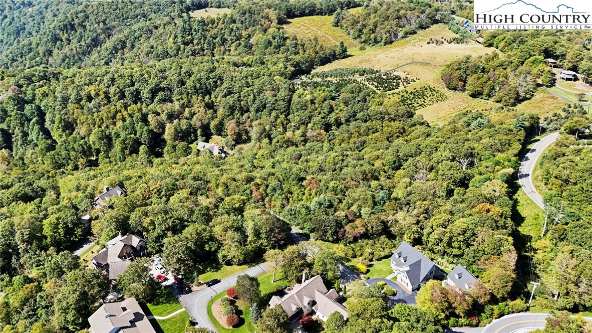 Image number 6 for the current listing