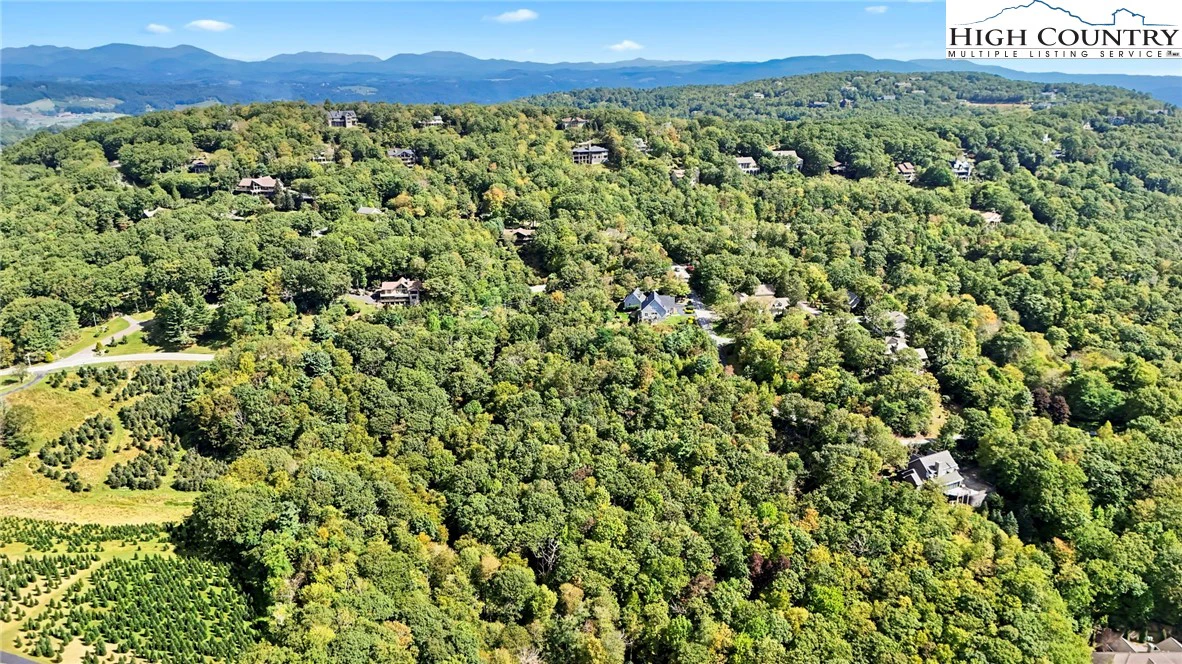 Image number 9 for the current listing
