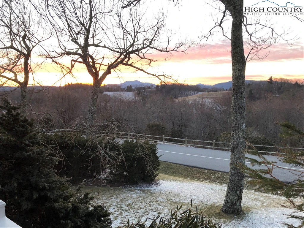 Image number 3 for the current listing