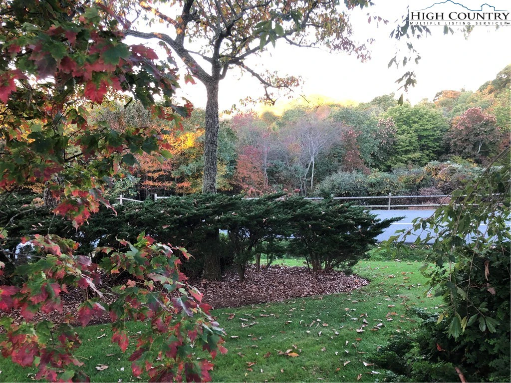 Image number 5 for the current listing