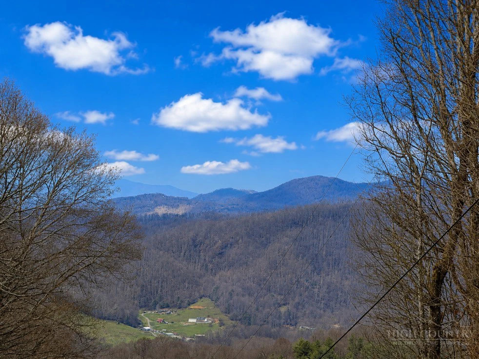 Image number 1 for the current listing