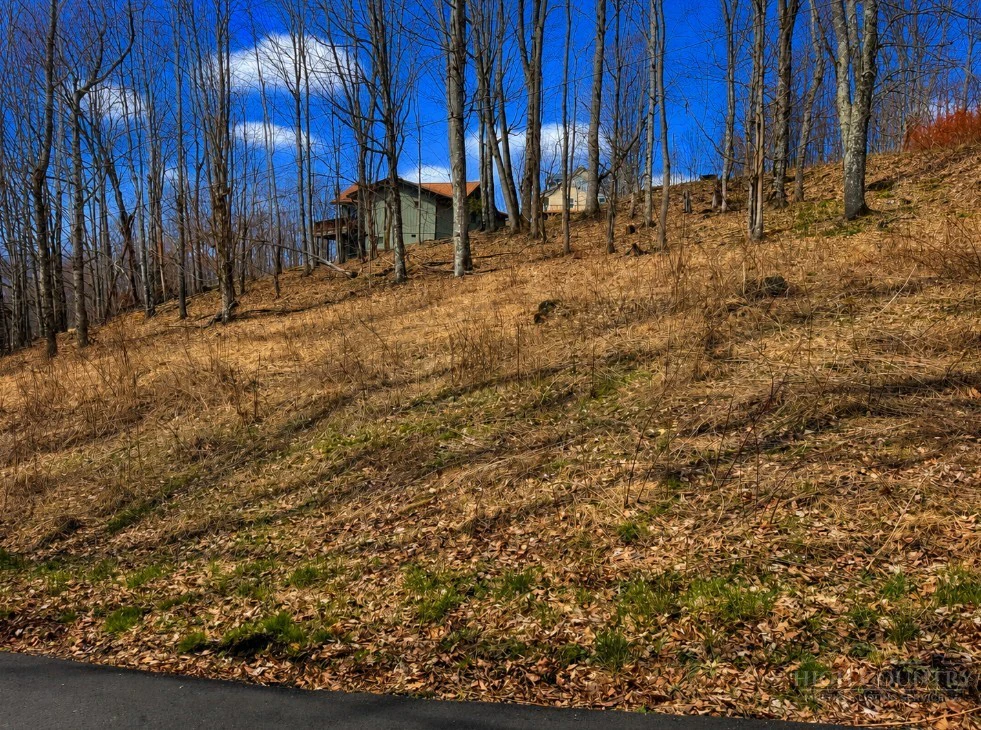 Image number 3 for the current listing
