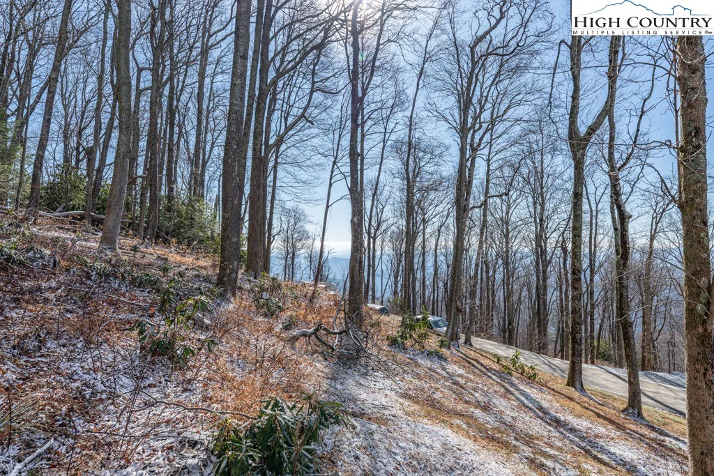 Image number 1 for the current listing