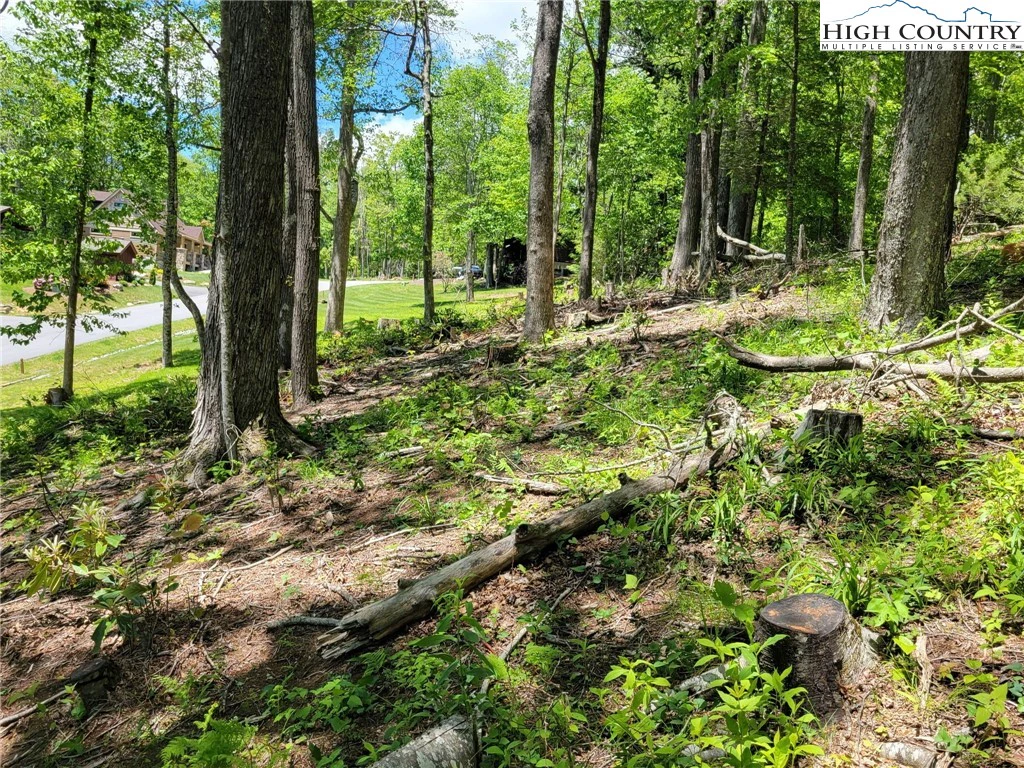 Image number 18 for the current listing