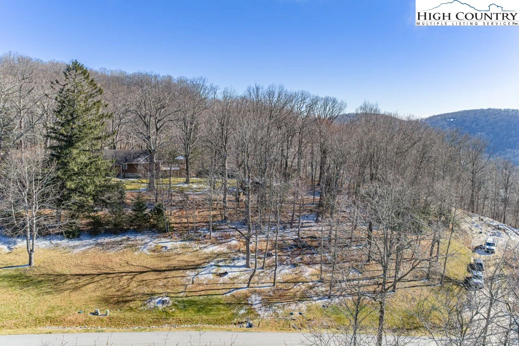 Image number 17 for the current listing