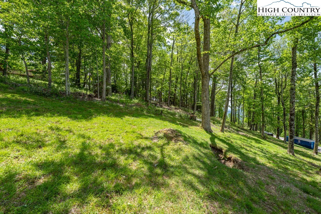 Image number 14 for the current listing