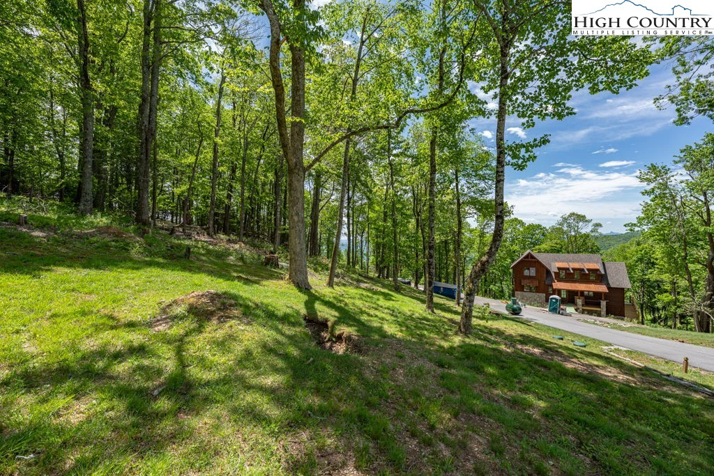 Image number 2 for the current listing