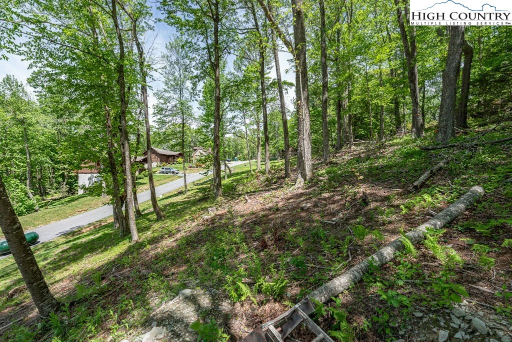 Image number 10 for the current listing