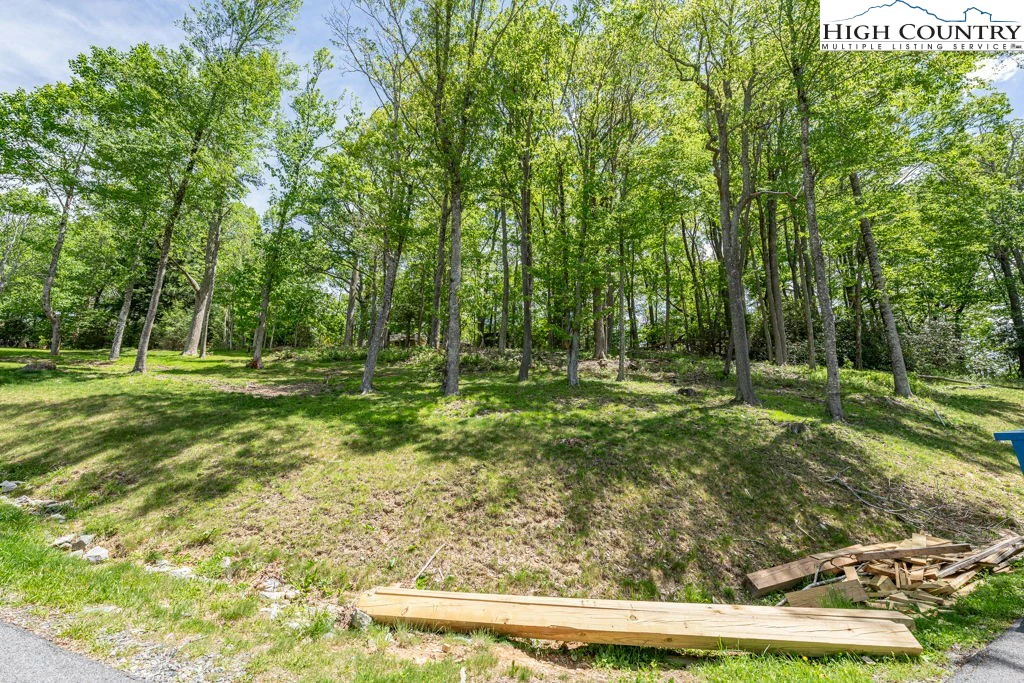 Image number 9 for the current listing