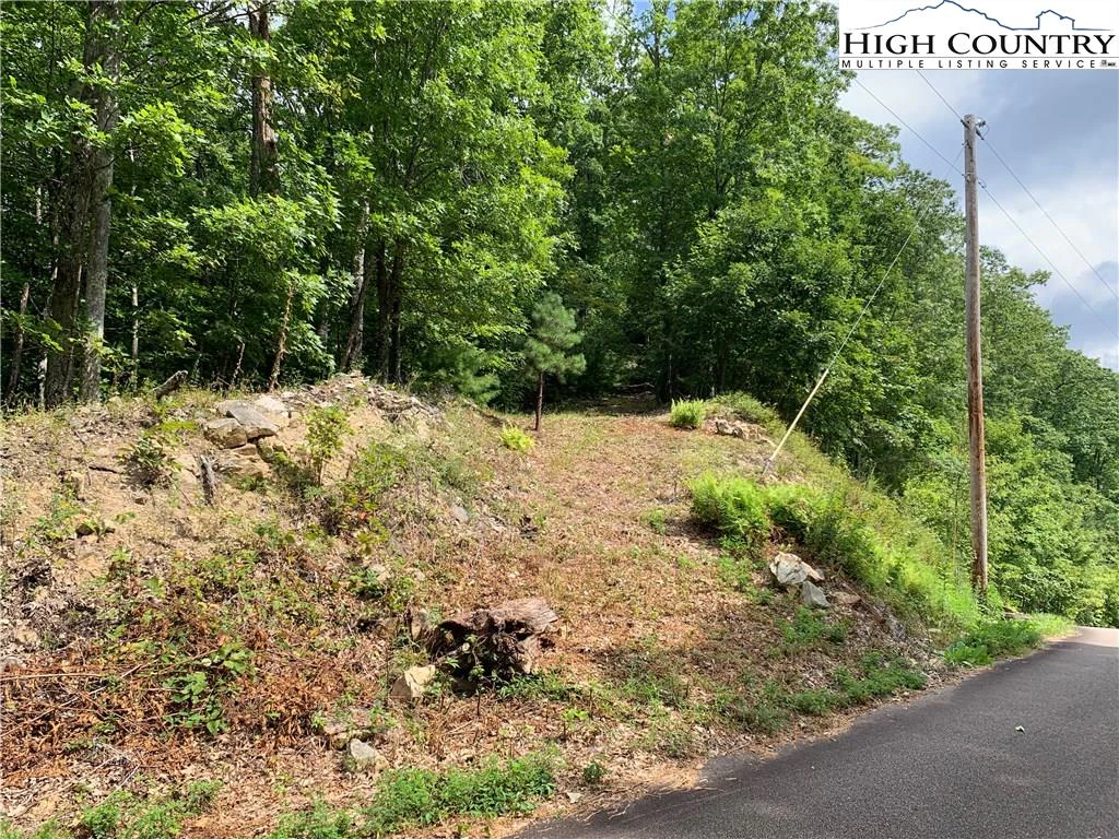 Image number 1 for the current listing