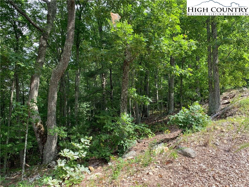 Image number 3 for the current listing