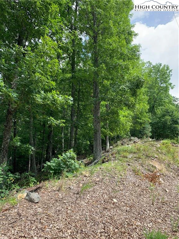 Image number 5 for the current listing