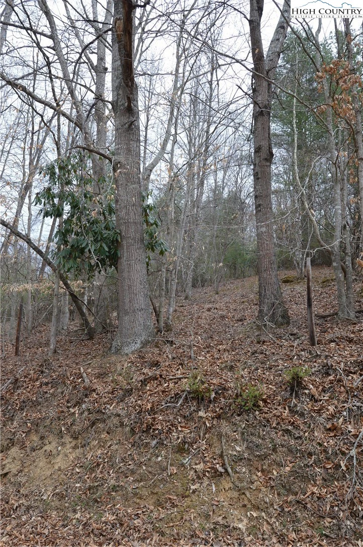 Image number 21 for the current listing