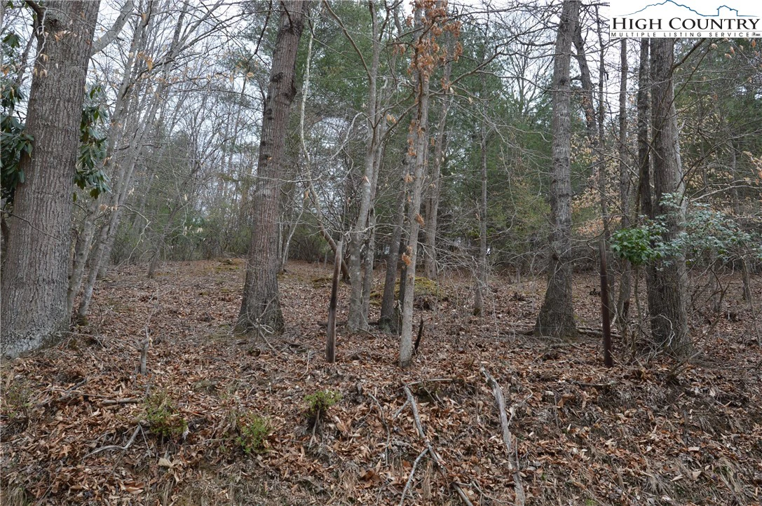 Image number 20 for the current listing