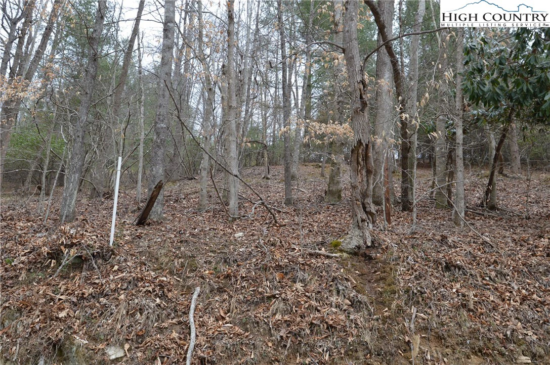 Image number 19 for the current listing