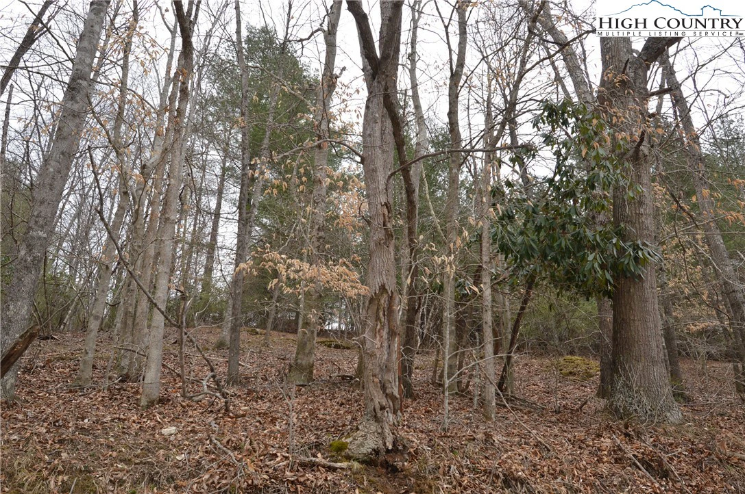Image number 18 for the current listing