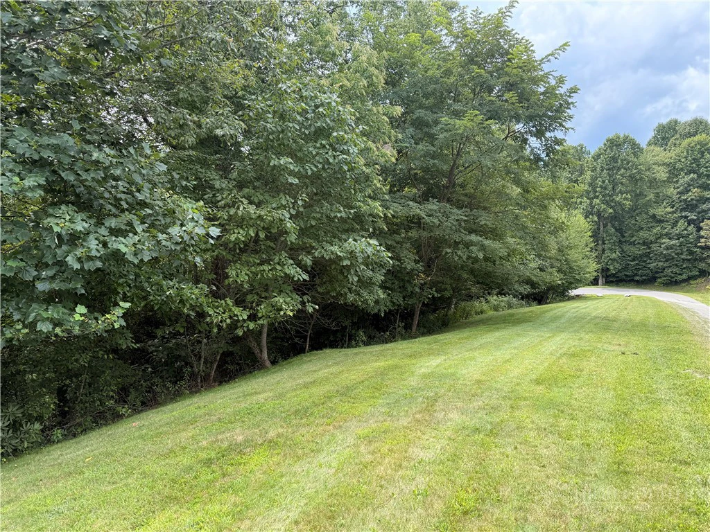 Image number 1 for the current listing