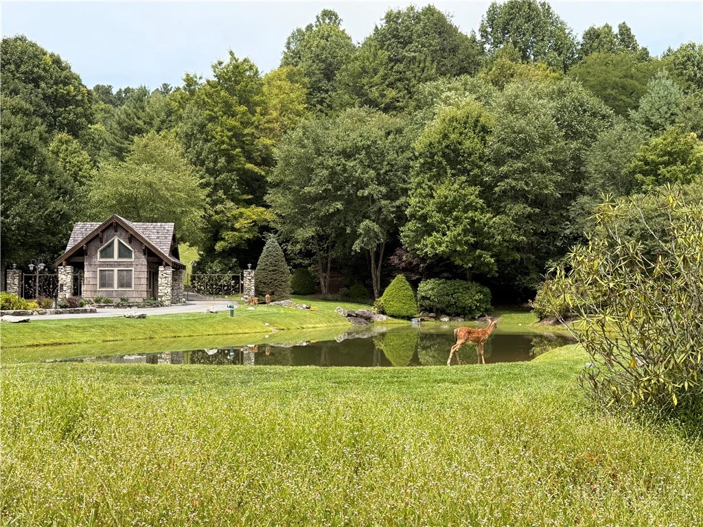 Image number 5 for the current listing