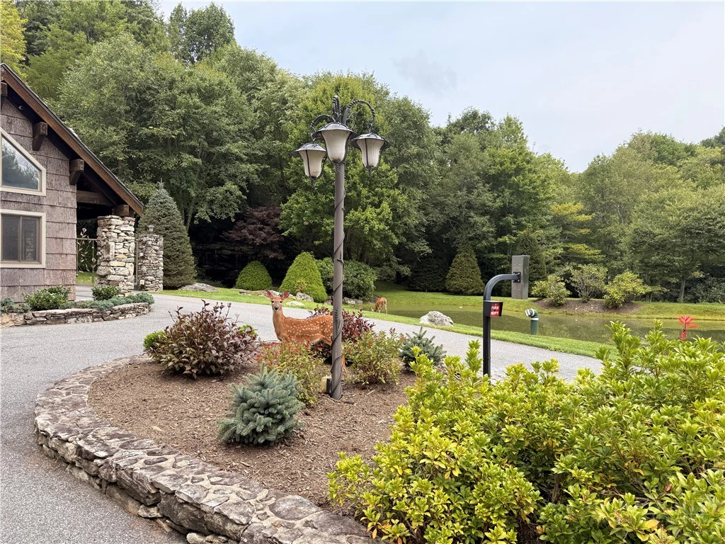 Image number 9 for the current listing