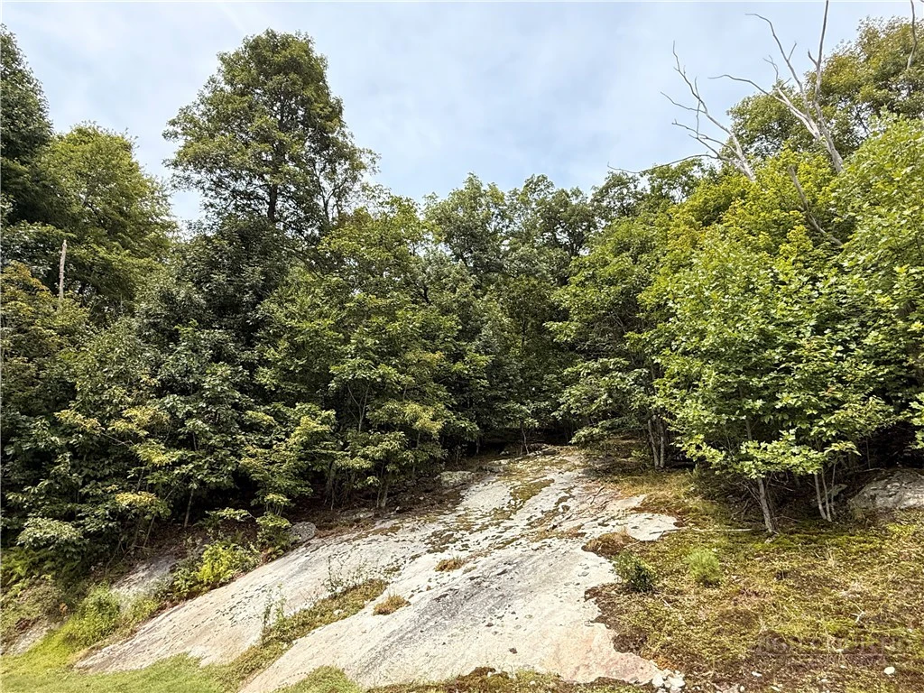 Image number 10 for the current listing