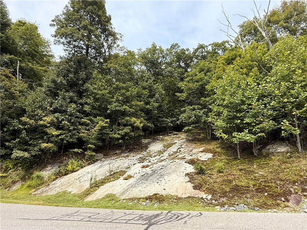 Image number 11 for the current listing